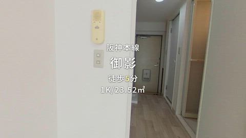動画