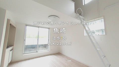 動画
