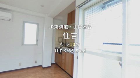 動画