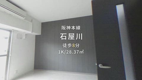 動画
