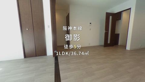 動画