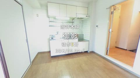 動画