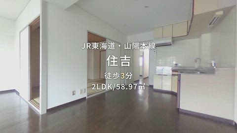 動画