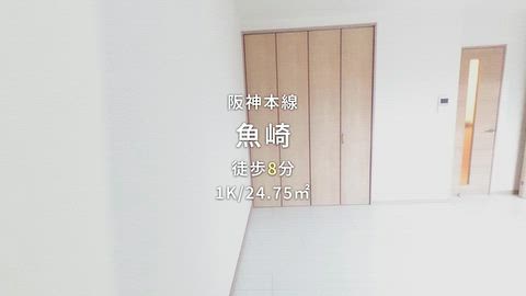 動画