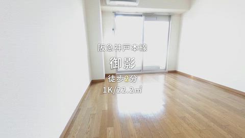 動画