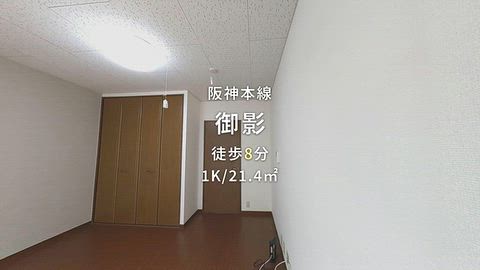 動画