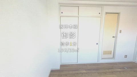 動画