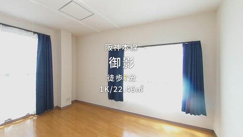 動画