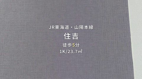 動画