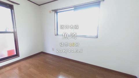 動画