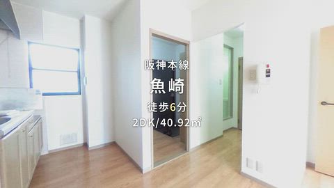 動画