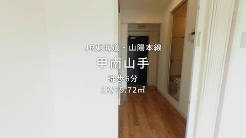 動画