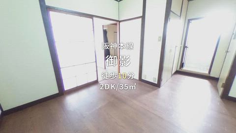 動画