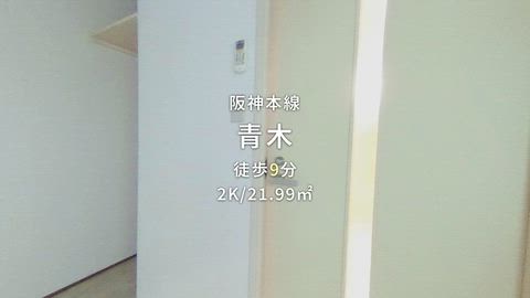 紹介ムービー