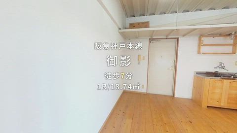動画