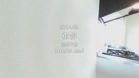 動画