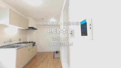 動画