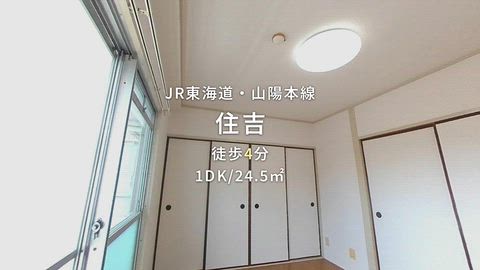 動画