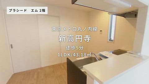 動画