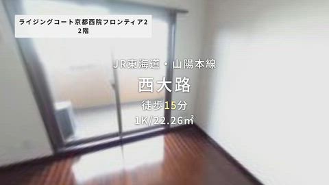 動画