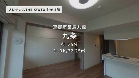 動画
