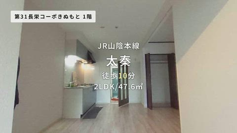 動画