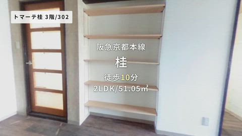 動画