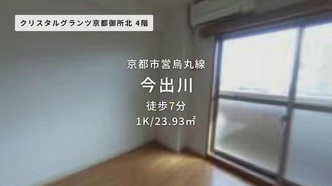 動画