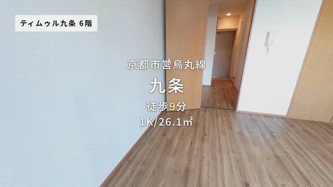 動画