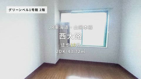 動画