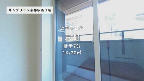 動画