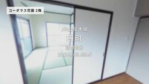 動画