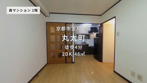 動画