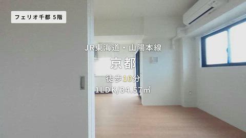 動画