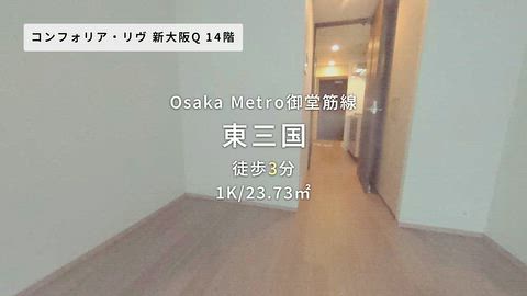 動画