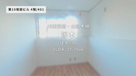 動画