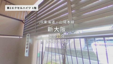 動画