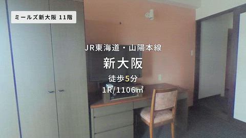 動画