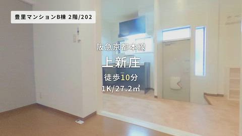 動画