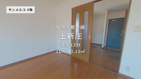 動画