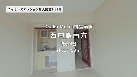 動画