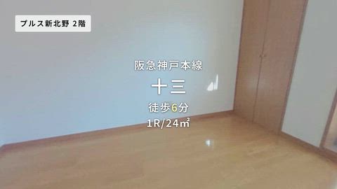 動画