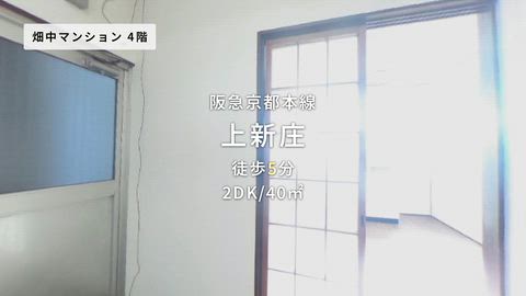 動画
