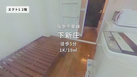 動画