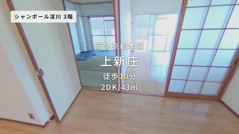 動画