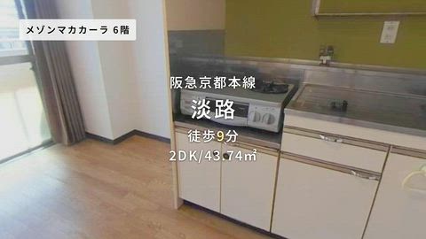 動画