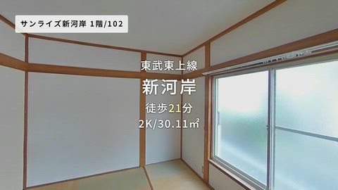 動画