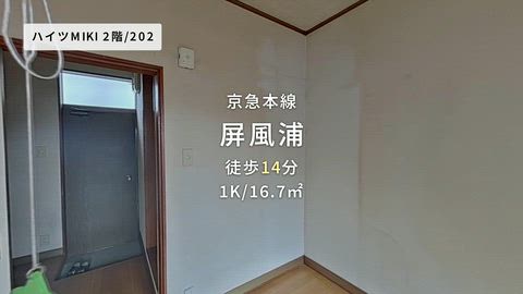 動画