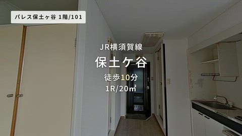 動画