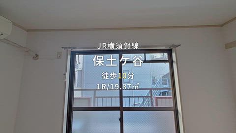 動画
